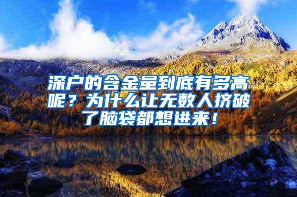 深户的含金量到底有多高呢？为什么让无数人挤破了脑袋都想进来！