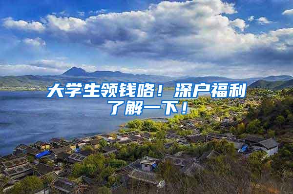 大学生领钱咯！深户福利了解一下！