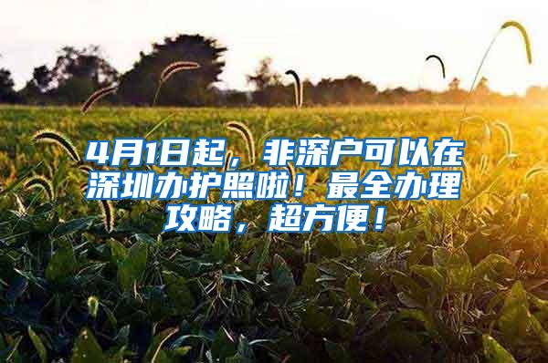 4月1日起，非深户可以在深圳办护照啦！最全办理攻略，超方便！