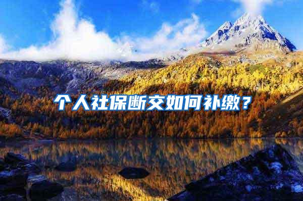 个人社保断交如何补缴？
