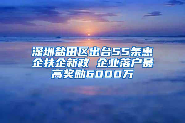 深圳盐田区出台55条惠企扶企新政 企业落户最高奖励6000万