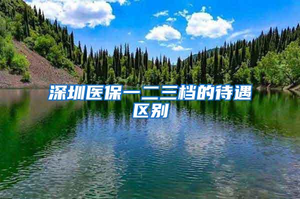 深圳医保一二三档的待遇区别