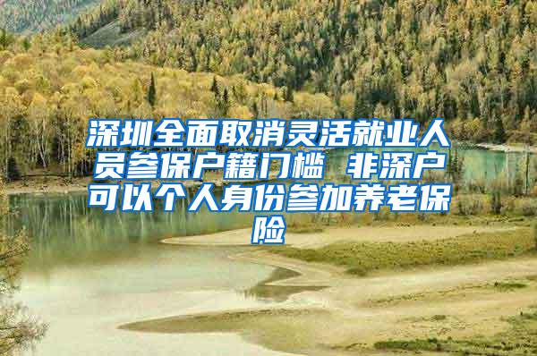 深圳全面取消灵活就业人员参保户籍门槛 非深户可以个人身份参加养老保险
