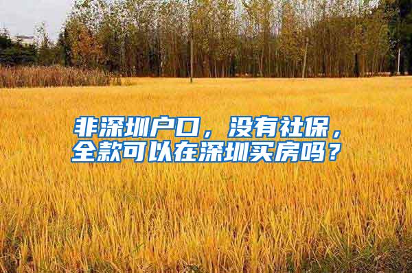 非深圳户口，没有社保，全款可以在深圳买房吗？