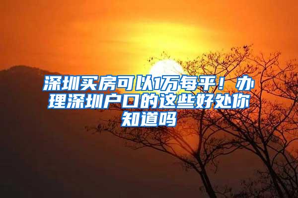 深圳买房可以1万每平！办理深圳户口的这些好处你知道吗