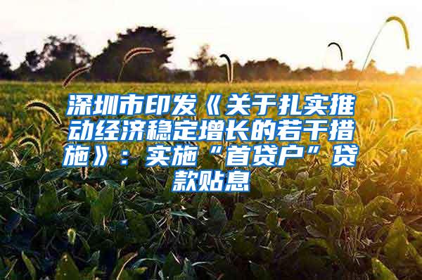 深圳市印发《关于扎实推动经济稳定增长的若干措施》：实施“首贷户”贷款贴息