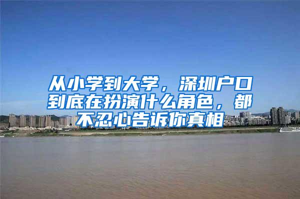 从小学到大学，深圳户口到底在扮演什么角色，都不忍心告诉你真相
