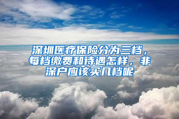 深圳医疗保险分为三档，每档缴费和待遇怎样，非深户应该买几档呢