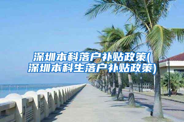 深圳本科落户补贴政策(深圳本科生落户补贴政策)