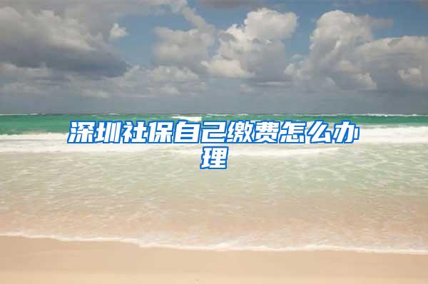 深圳社保自己缴费怎么办理