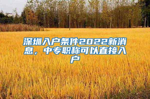 深圳入户条件2022新消息，中专职称可以直接入户
