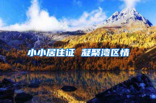 小小居住证 凝聚湾区情