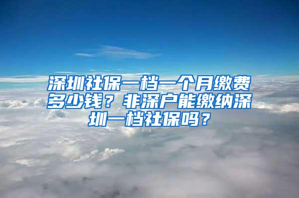 深圳社保一档一个月缴费多少钱？非深户能缴纳深圳一档社保吗？