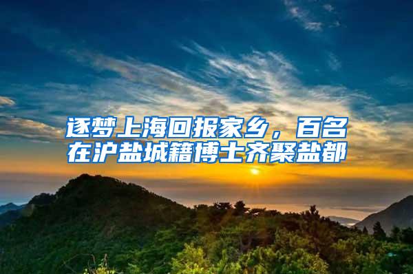 逐梦上海回报家乡，百名在沪盐城籍博士齐聚盐都