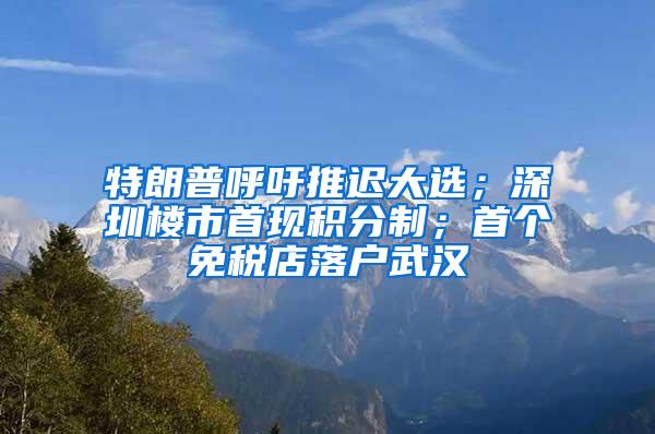 特朗普呼吁推迟大选；深圳楼市首现积分制；首个免税店落户武汉