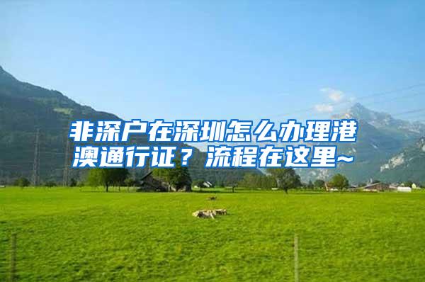 非深户在深圳怎么办理港澳通行证？流程在这里~