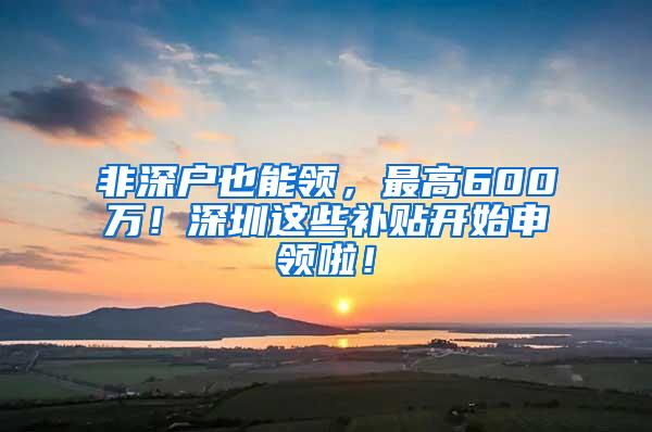 非深户也能领，最高600万！深圳这些补贴开始申领啦！
