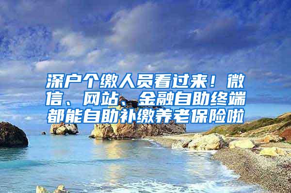 深户个缴人员看过来！微信、网站、金融自助终端都能自助补缴养老保险啦