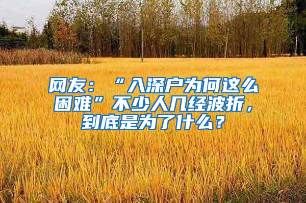 网友：“入深户为何这么困难”不少人几经波折，到底是为了什么？