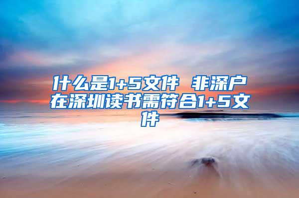 什么是1+5文件 非深户在深圳读书需符合1+5文件