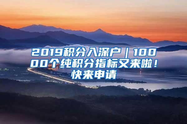 2019积分入深户｜10000个纯积分指标又来啦！快来申请
