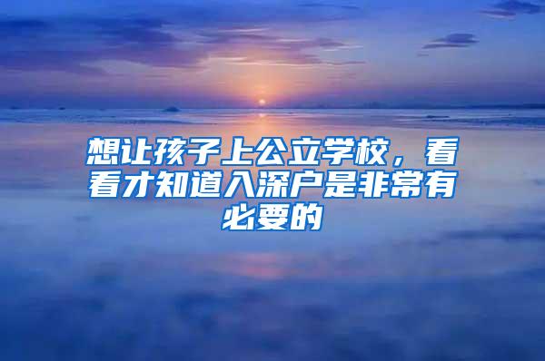 想让孩子上公立学校，看看才知道入深户是非常有必要的