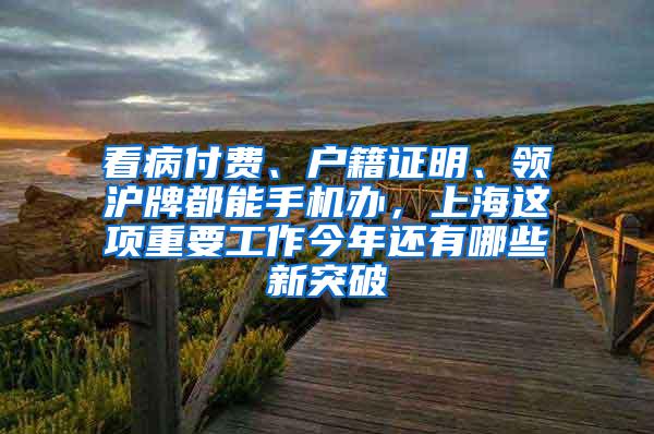 看病付费、户籍证明、领沪牌都能手机办，上海这项重要工作今年还有哪些新突破