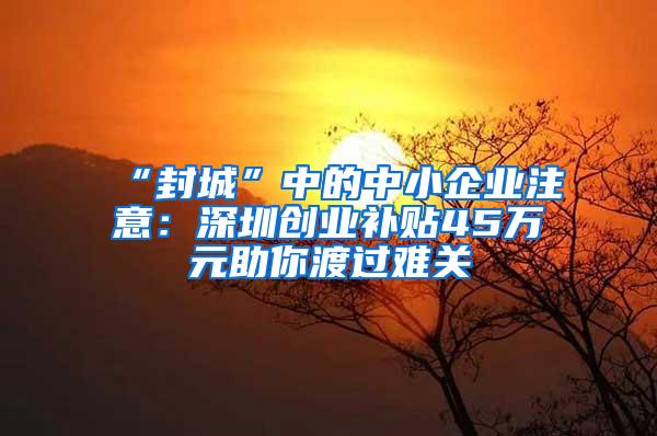 “封城”中的中小企业注意：深圳创业补贴45万元助你渡过难关