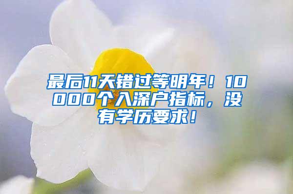 最后11天错过等明年！10000个入深户指标，没有学历要求！