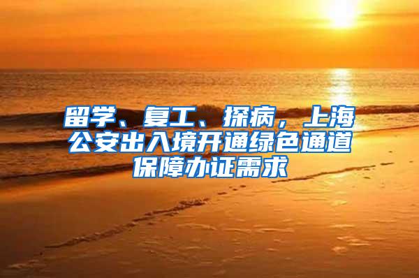 留学、复工、探病，上海公安出入境开通绿色通道保障办证需求