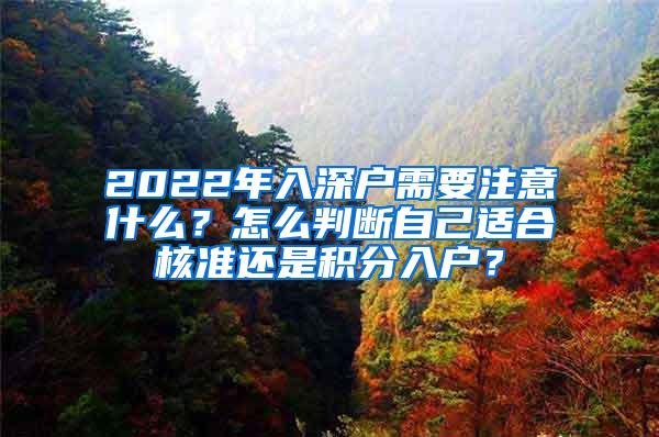 2022年入深户需要注意什么？怎么判断自己适合核准还是积分入户？