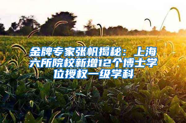金牌专家张帆揭秘：上海六所院校新增12个博士学位授权一级学科