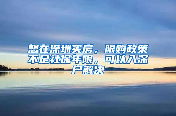 想在深圳买房，限购政策不足社保年限，可以入深户解决