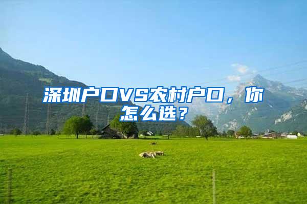 深圳户口VS农村户口，你怎么选？