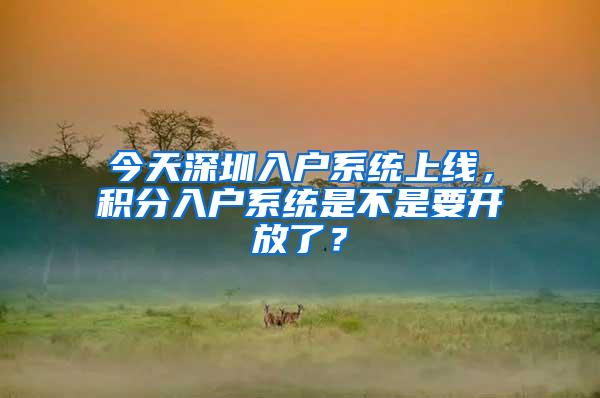 今天深圳入户系统上线，积分入户系统是不是要开放了？