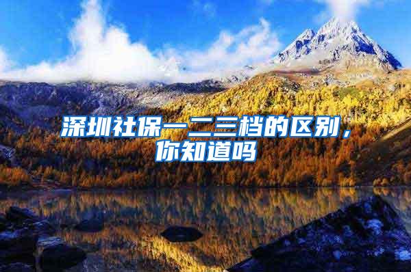 深圳社保一二三档的区别，你知道吗