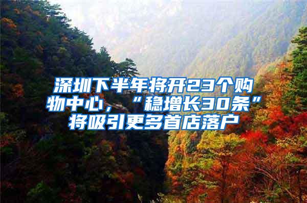 深圳下半年将开23个购物中心，“稳增长30条”将吸引更多首店落户