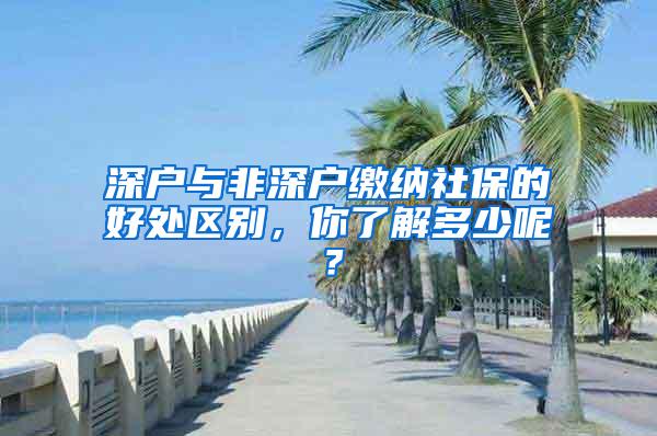 深户与非深户缴纳社保的好处区别，你了解多少呢？