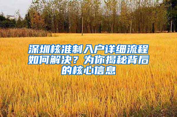 深圳核准制入户详细流程如何解决？为你揭秘背后的核心信息