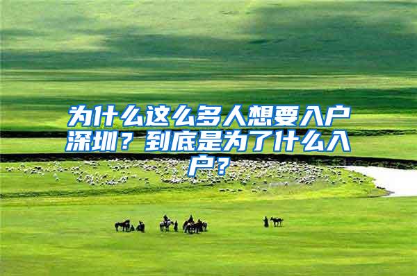 为什么这么多人想要入户深圳？到底是为了什么入户？