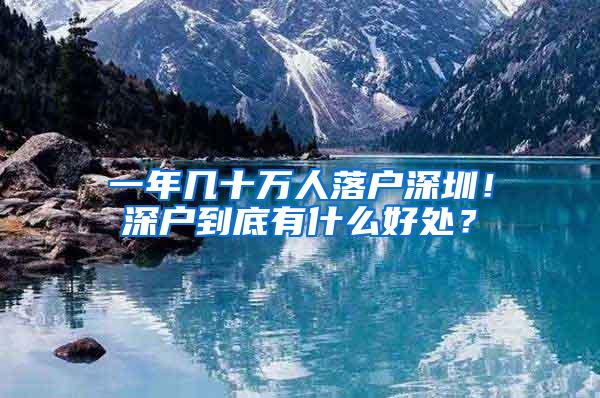 一年几十万人落户深圳！深户到底有什么好处？