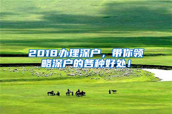 2018办理深户，带你领略深户的各种好处！