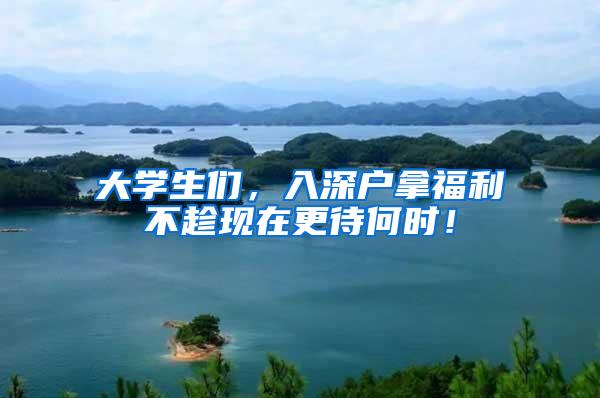 大学生们，入深户拿福利不趁现在更待何时！