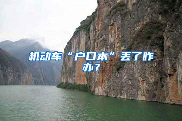 机动车“户口本”丢了咋办？