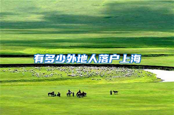 有多少外地人落户上海