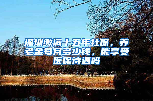 深圳缴满十五年社保，养老金每月多少钱，能享受医保待遇吗