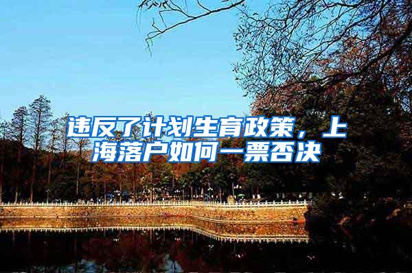 违反了计划生育政策，上海落户如何一票否决