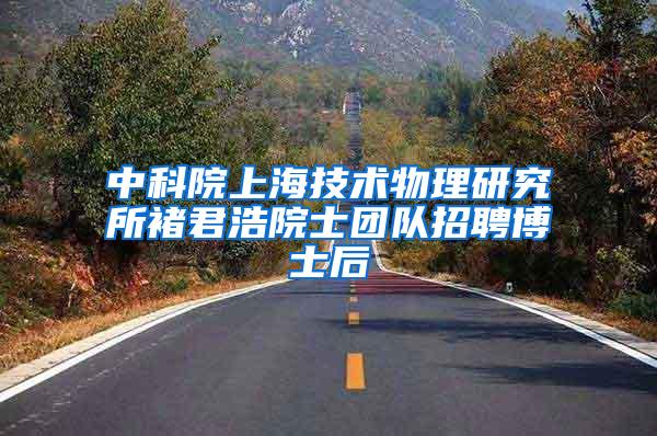 中科院上海技术物理研究所褚君浩院士团队招聘博士后