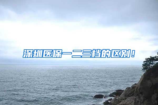 深圳医保一二三档的区别！