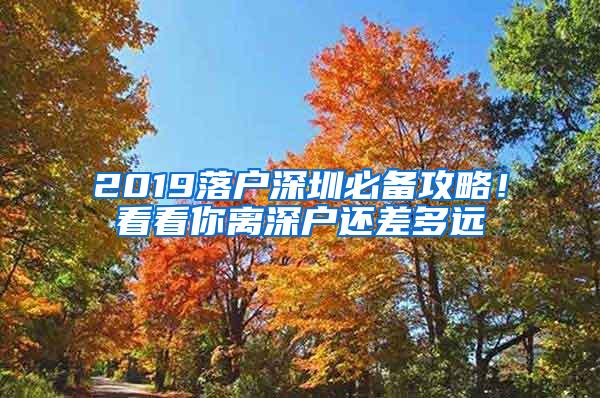 2019落户深圳必备攻略！看看你离深户还差多远